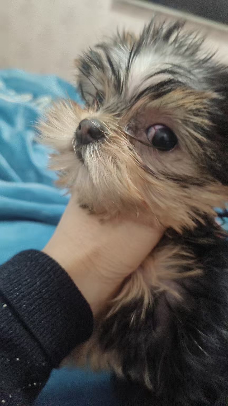 精品小约